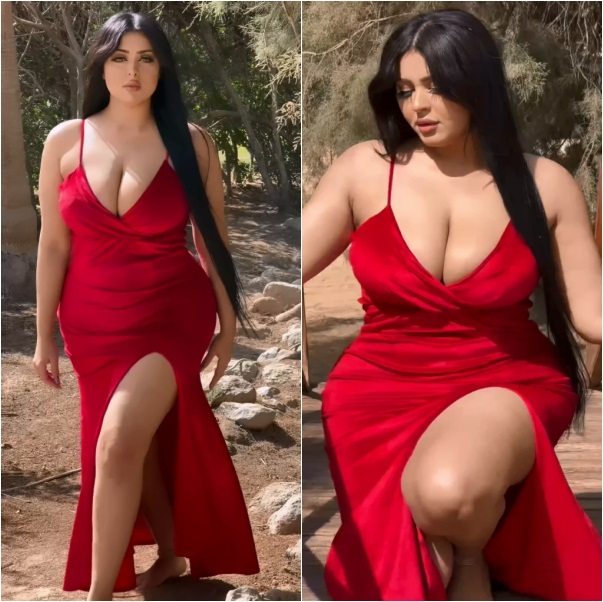 استعراض سلمي الشيمي